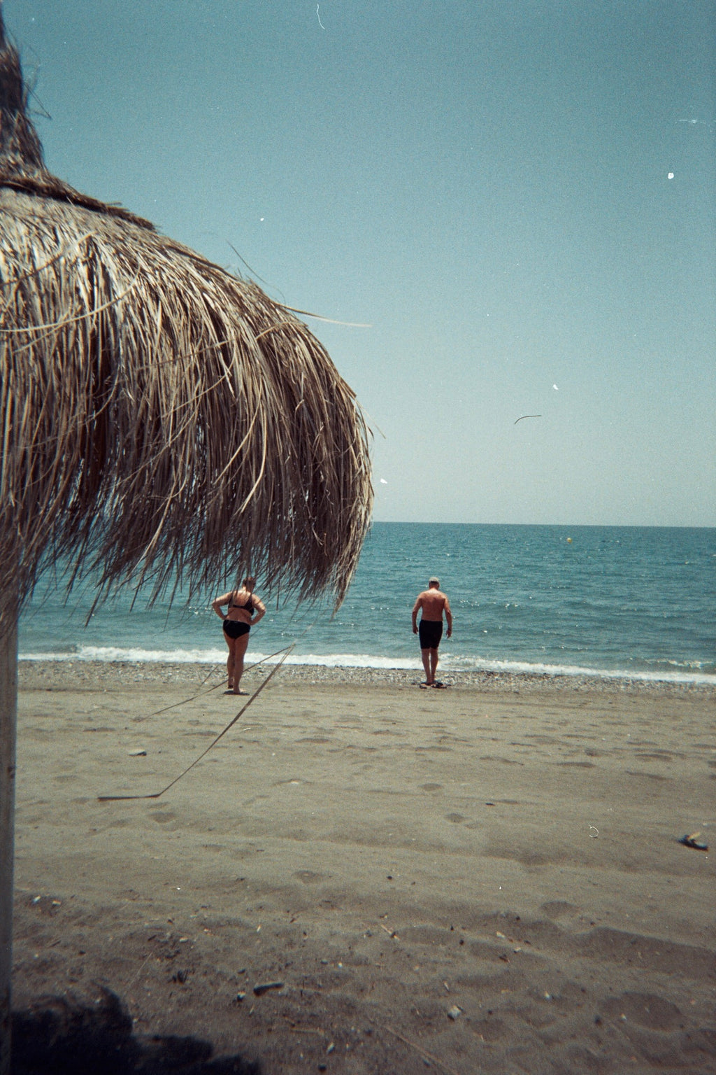 Disposable Camera Transparant