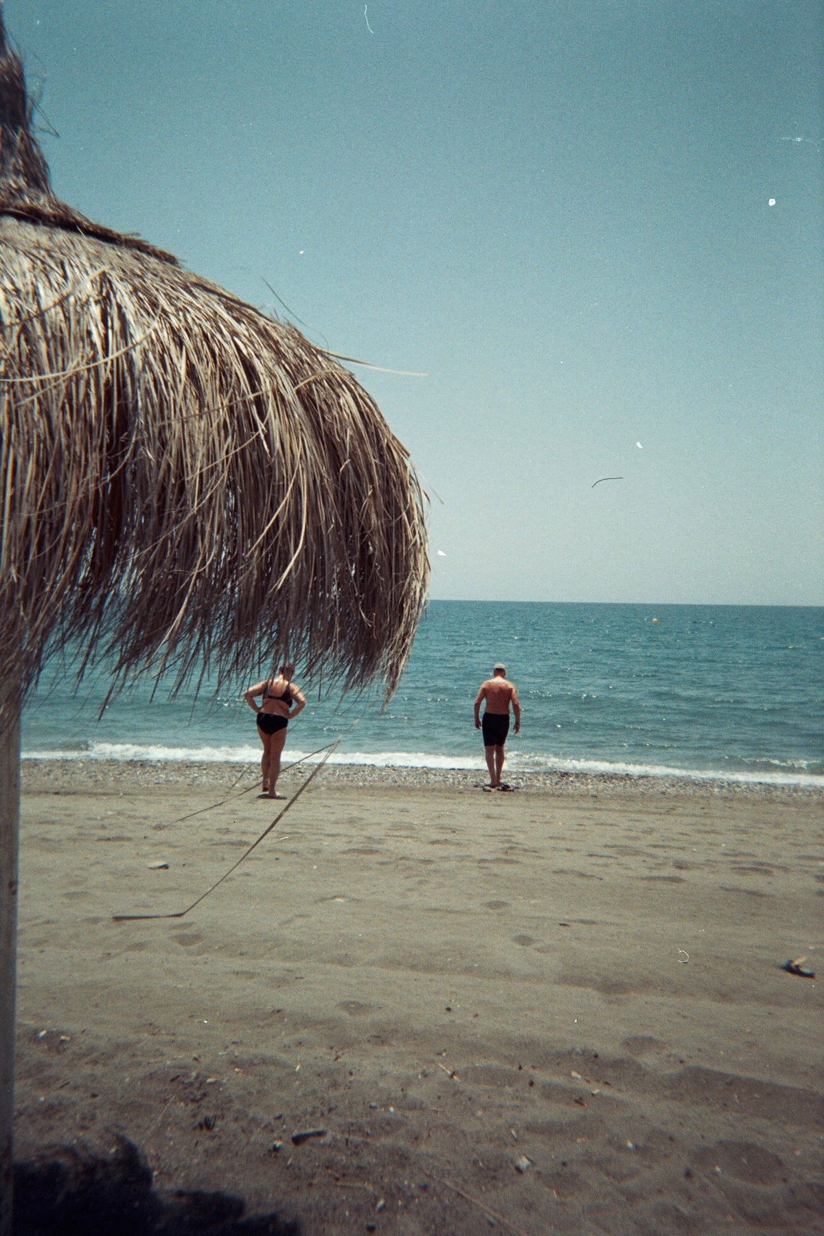 Disposable Camera Transparant