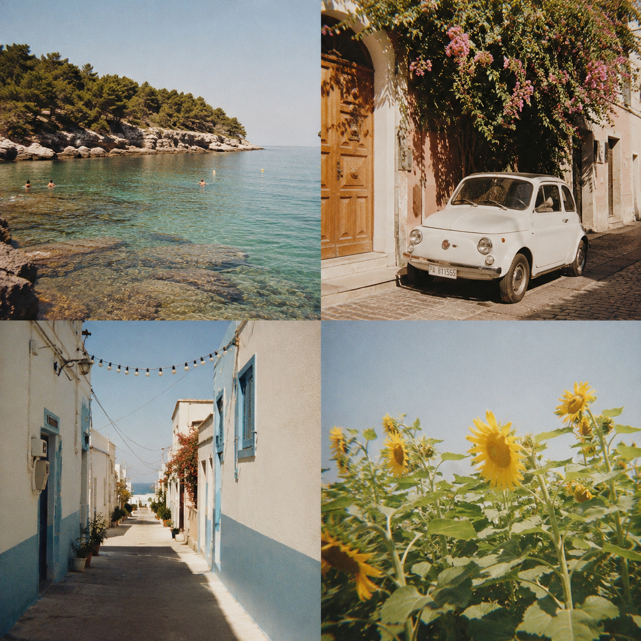 Ricoh 500GX